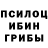 Псилоцибиновые грибы мицелий James Stronk
