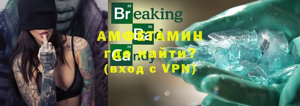 индика Абаза