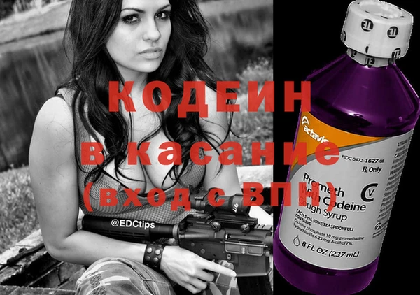 индика Абаза