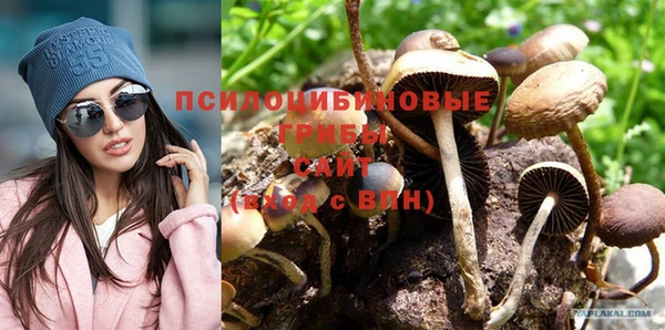индика Абаза