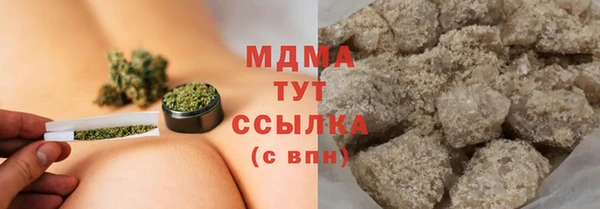 индика Абаза