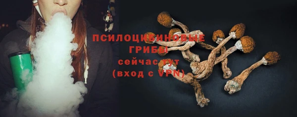 крисы Абдулино