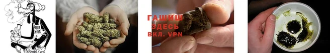 крисы Абдулино