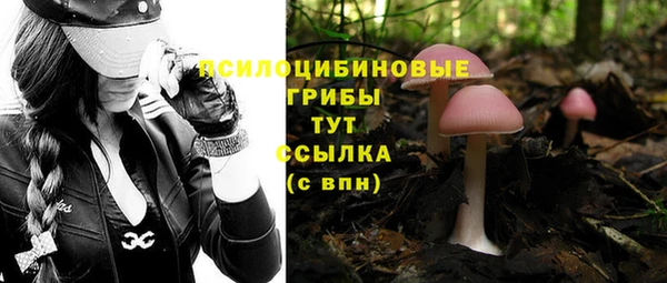 крисы Абдулино