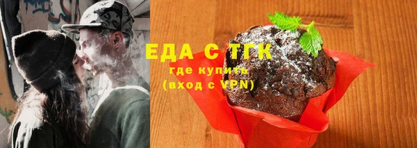 индика Абаза