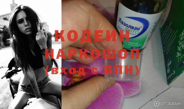 индика Абаза