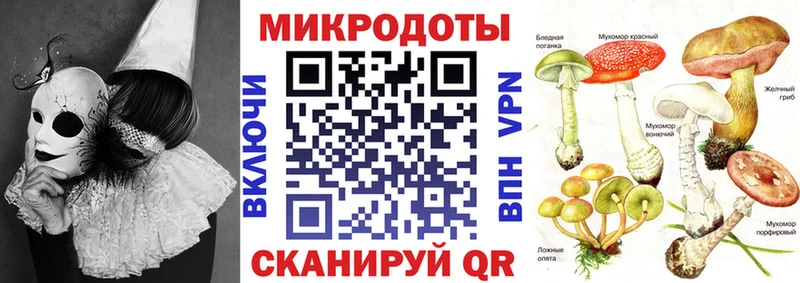 kraken маркетплейс  Питкяранта  Псилоцибиновые грибы MAGIC MUSHROOMS 